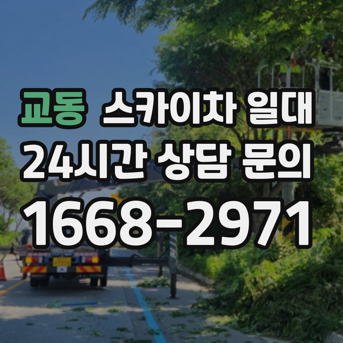 교동 스카이차 일대
