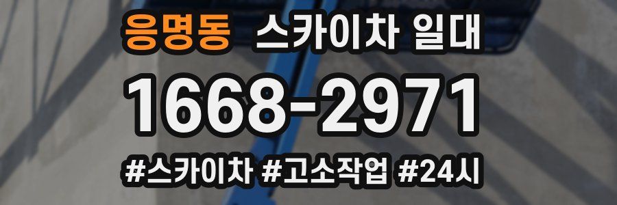 응명동 스카이차 일대