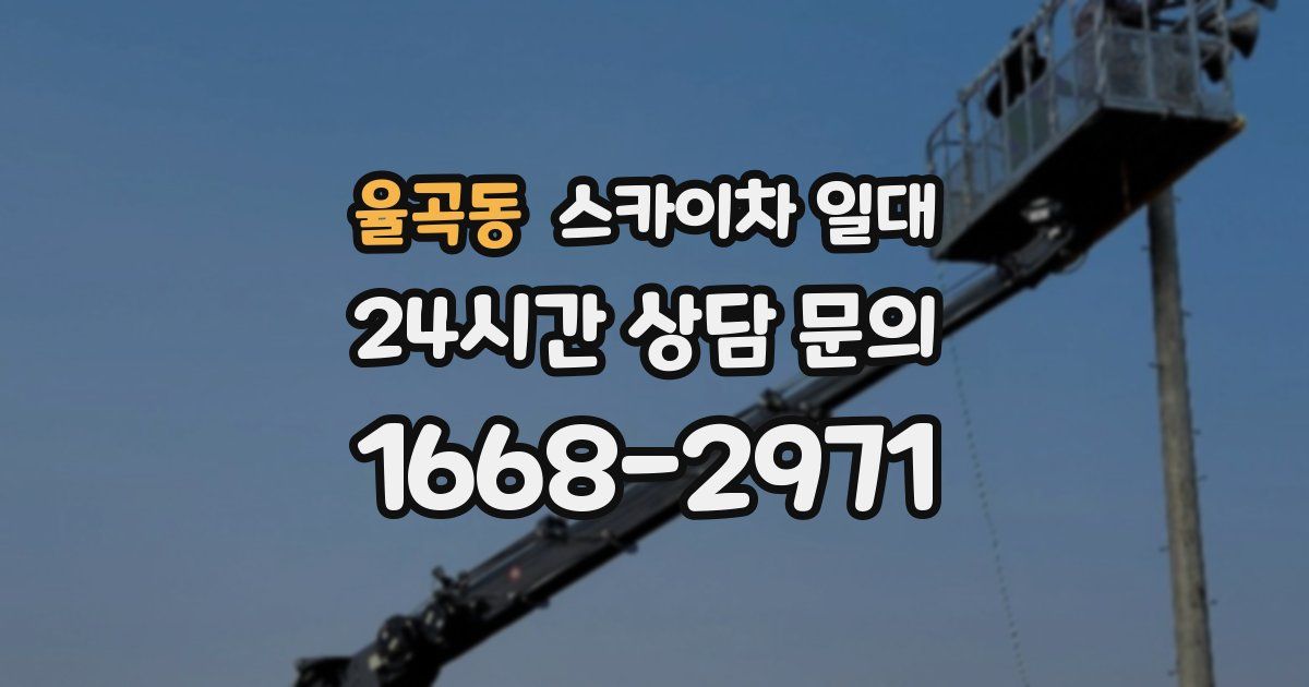율곡동 스카이차 일대