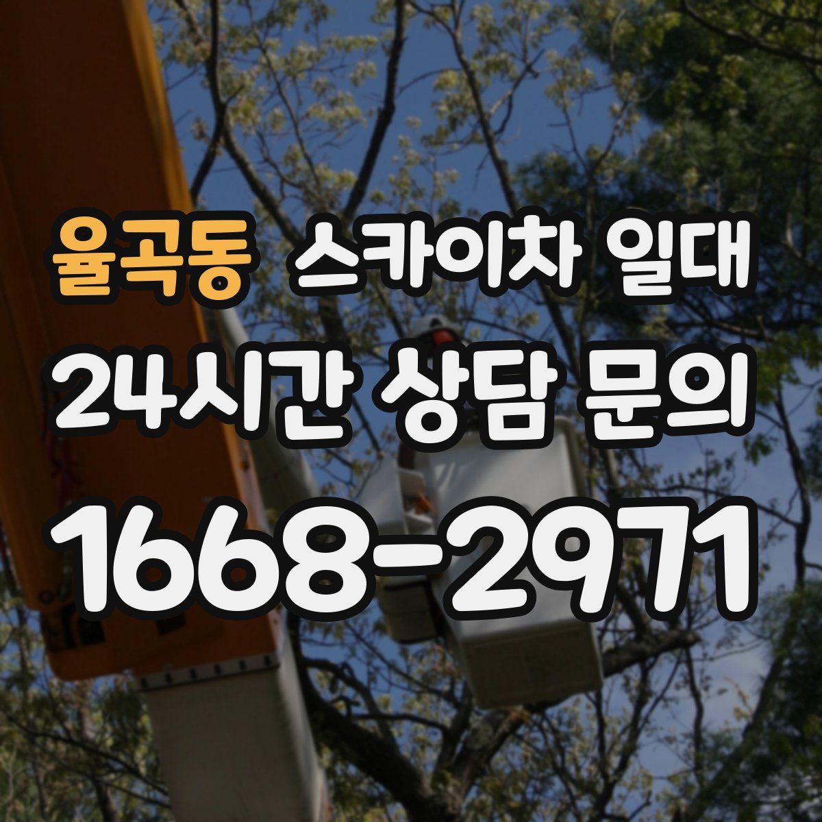율곡동 스카이차 일대