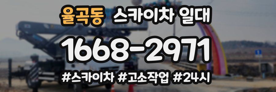 율곡동 스카이차 일대