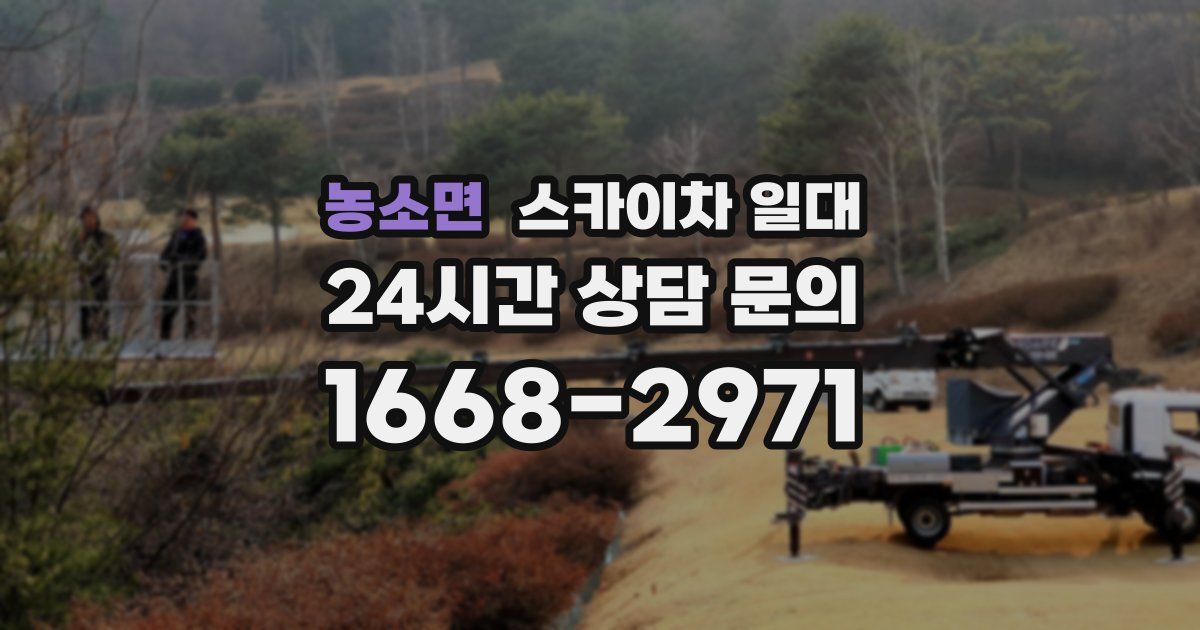 농소면 스카이차 일대