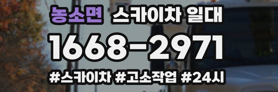농소면 스카이차 일대