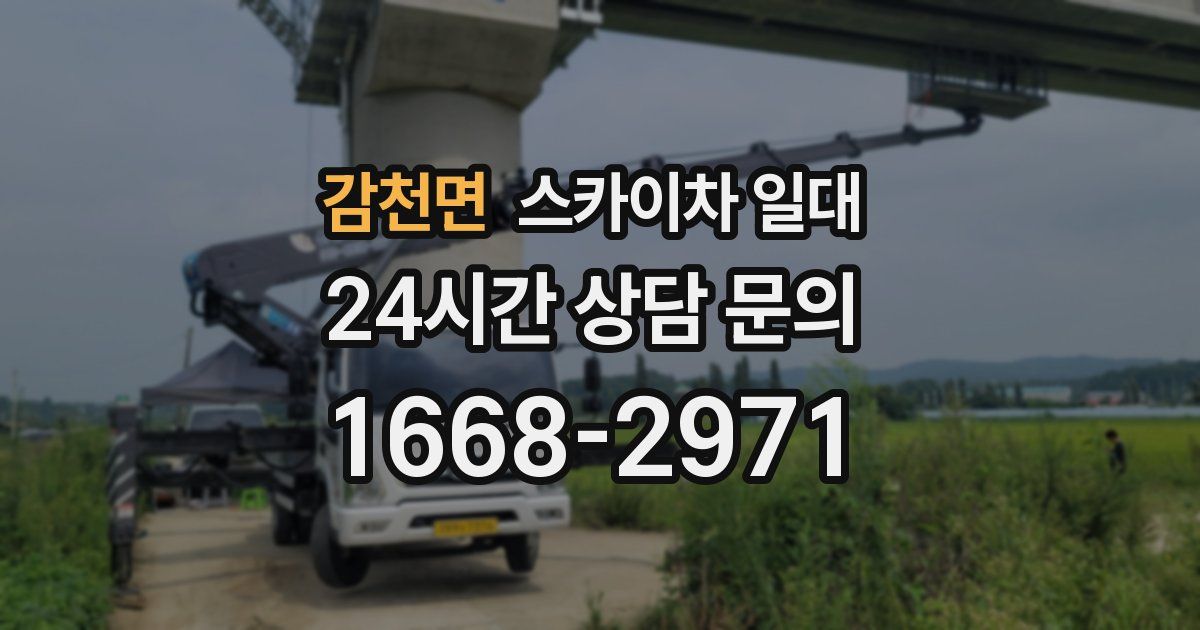 감천면 스카이차 일대