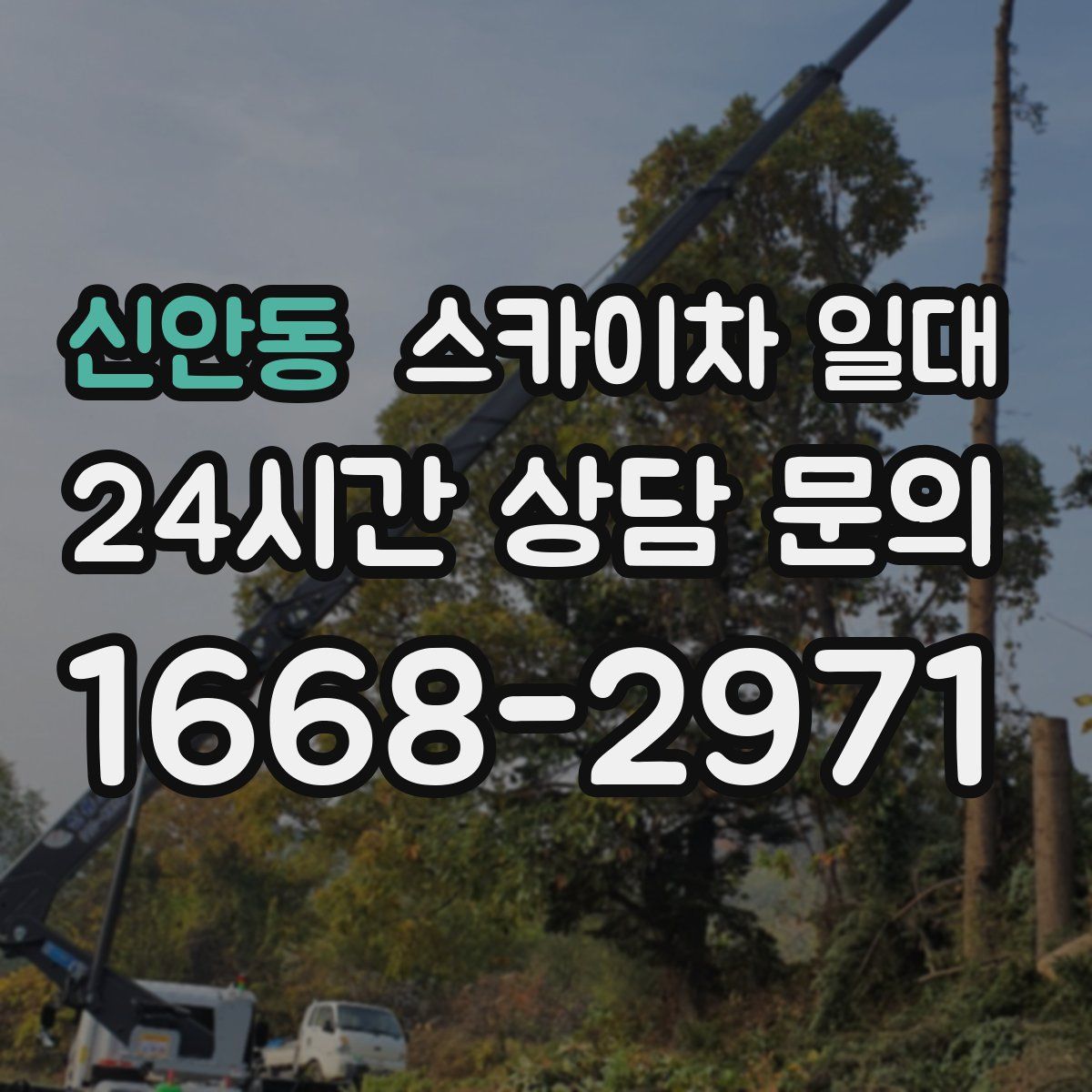 신안동 스카이차 일대