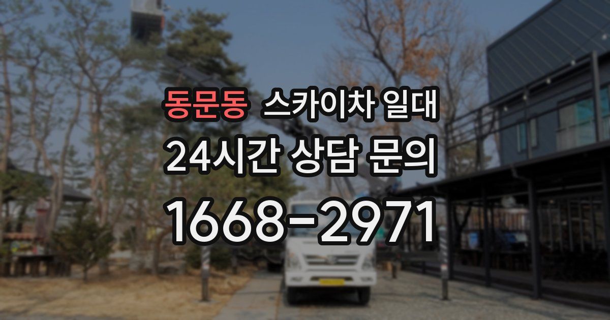 동문동 스카이차 일대