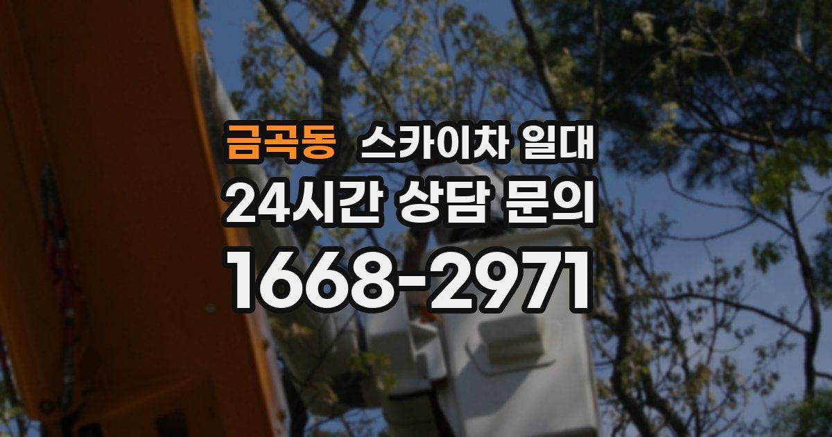 금곡동 스카이차 일대