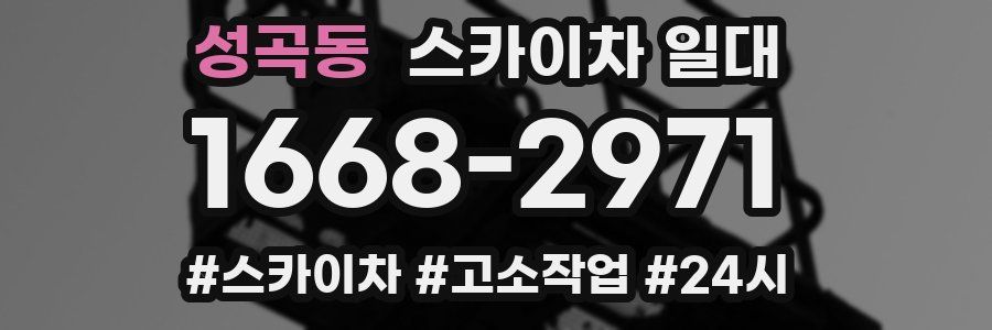 성곡동 스카이차 일대