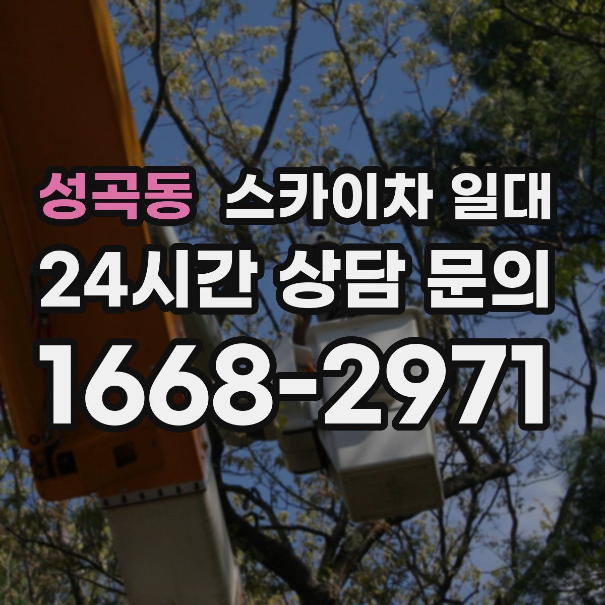 성곡동 스카이차 일대