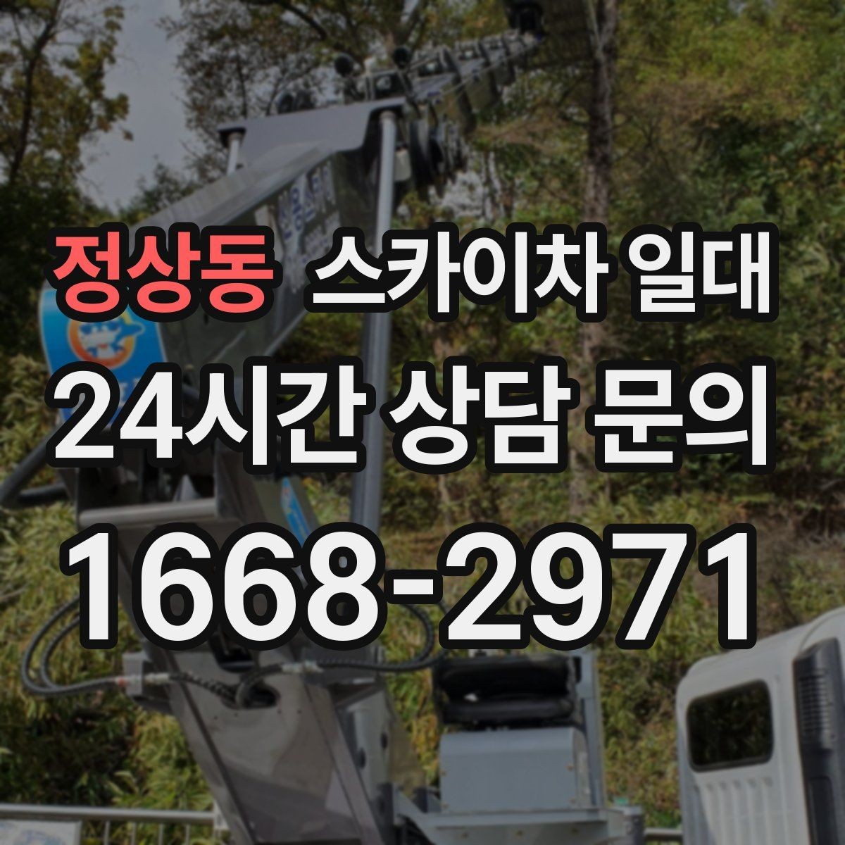 정상동 스카이차 일대 장비 선택에서 놓치기 쉬운 부분