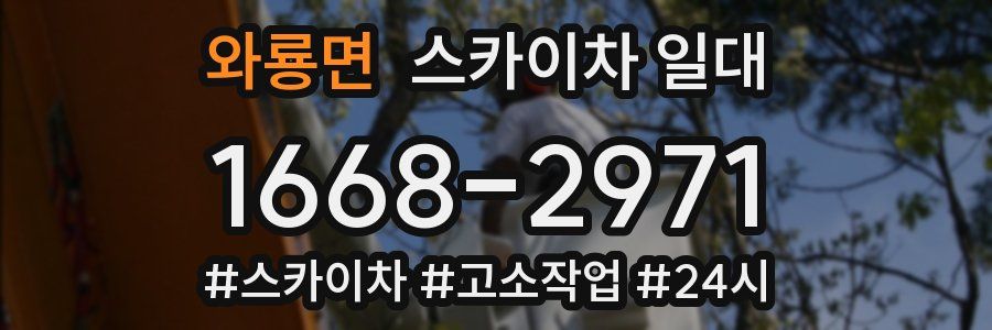 와룡면 스카이차 일대
