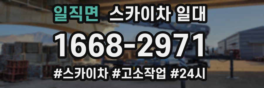일직면 스카이차 일대
