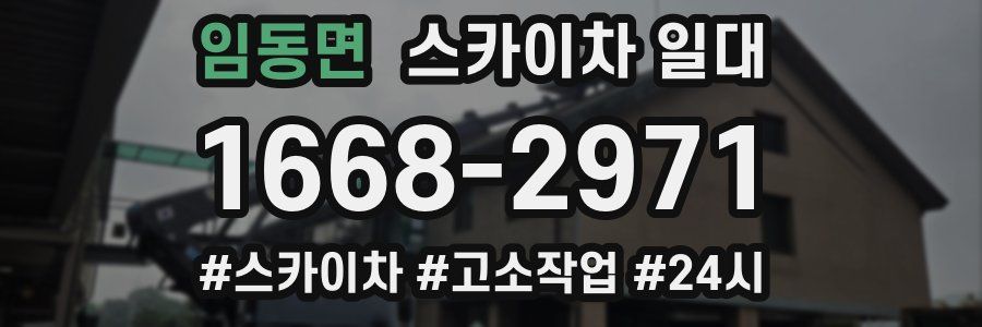 임동면 스카이차 일대