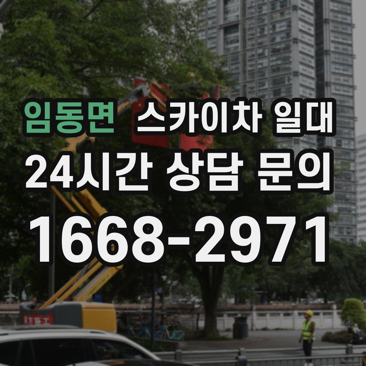 임동면 스카이차 일대