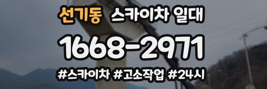 선기동 스카이차 일대