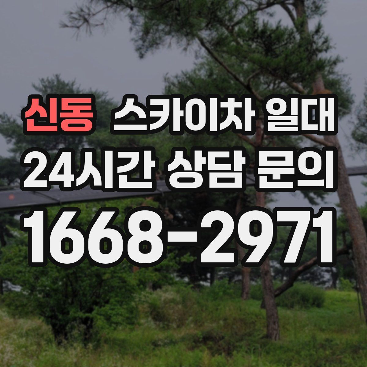 신동 스카이차 일대