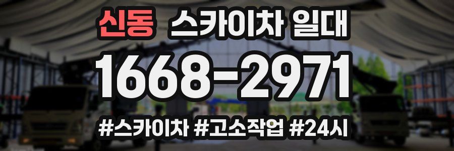 신동 스카이차 일대