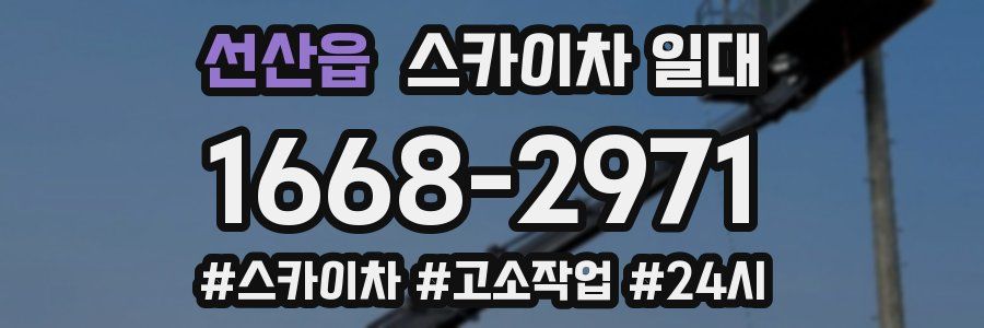 선산읍 스카이차 일대