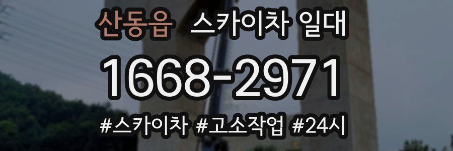 산동읍 스카이차 일대