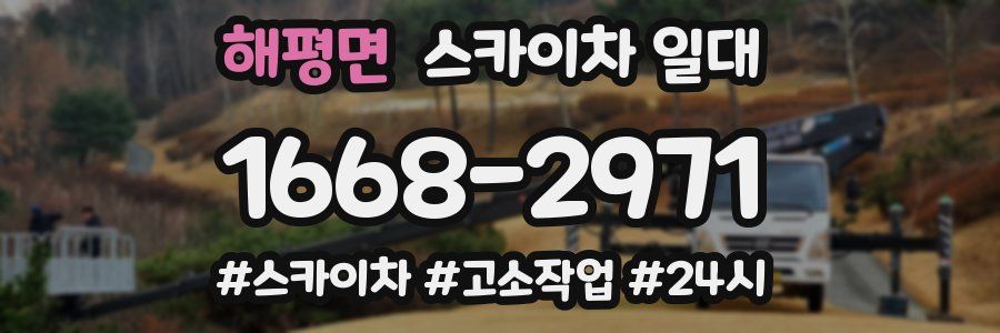 해평면 스카이차 일대