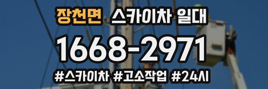 장천면 스카이차 일대