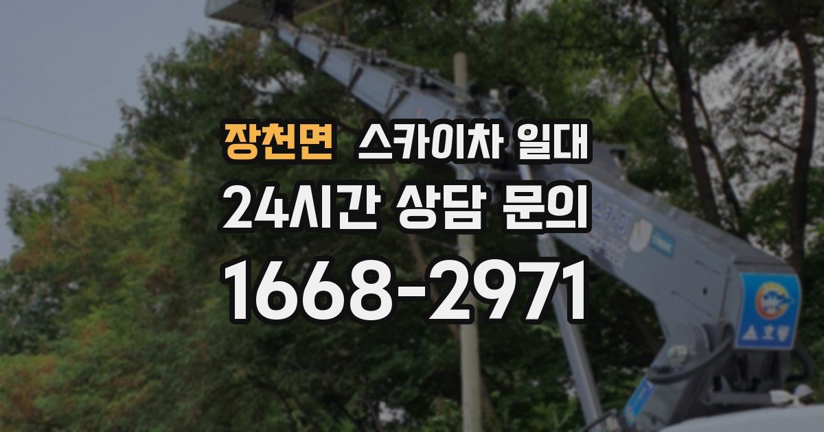 장천면 스카이차 일대