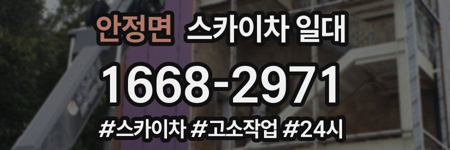 안정면 스카이차 일대