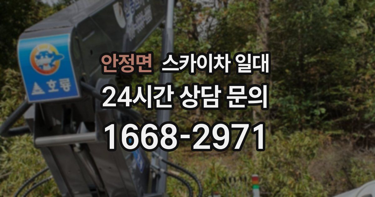 안정면 스카이차 일대