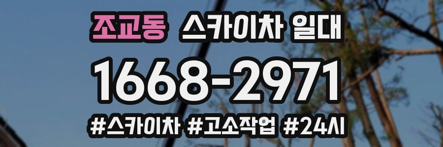 조교동 스카이차 일대