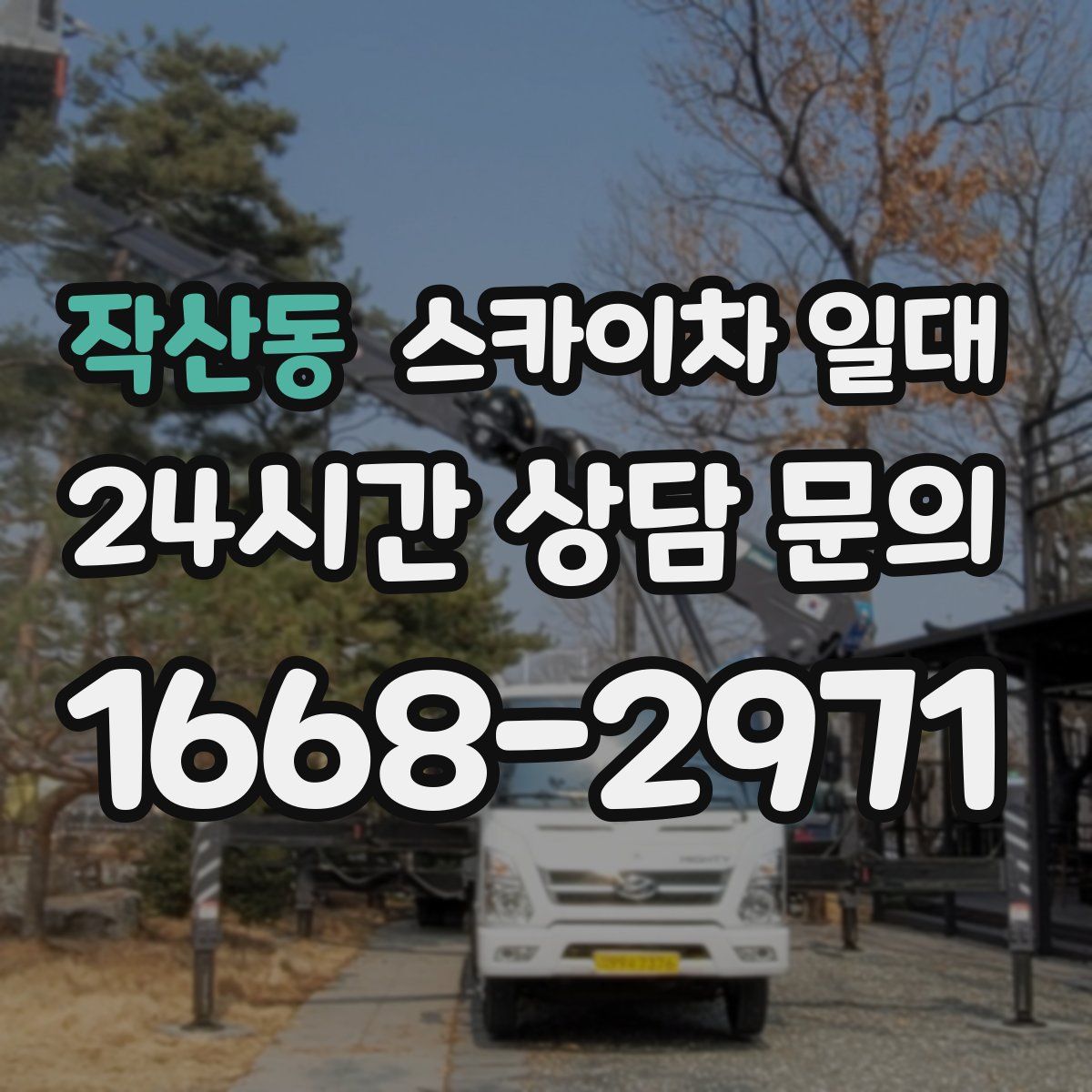 작산동 스카이차 일대