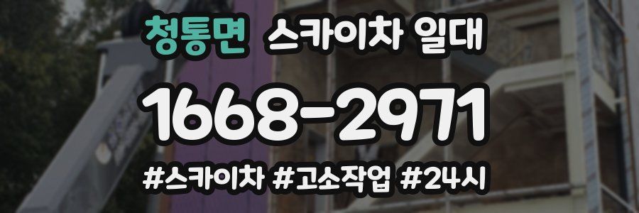청통면 스카이차 일대