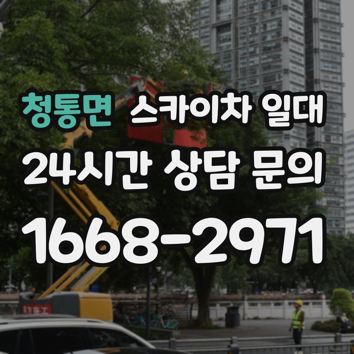 청통면 스카이차 일대