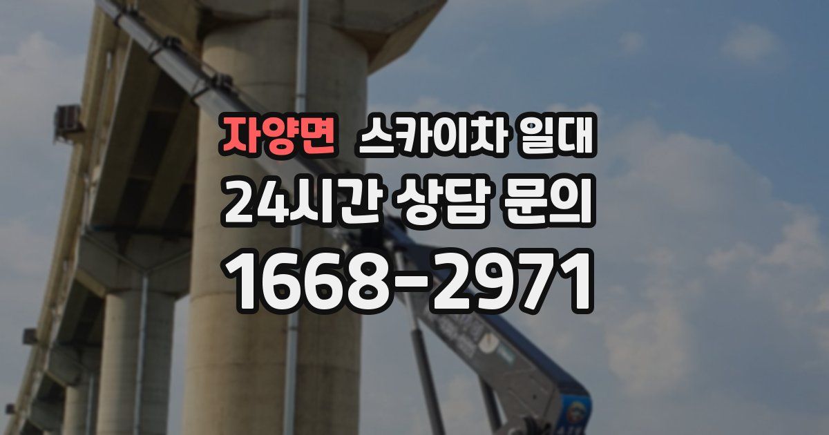 자양면 스카이차 일대