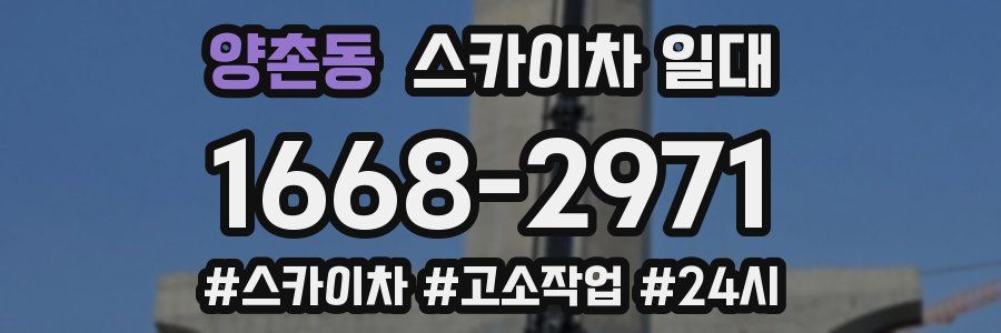 양촌동 스카이차 일대