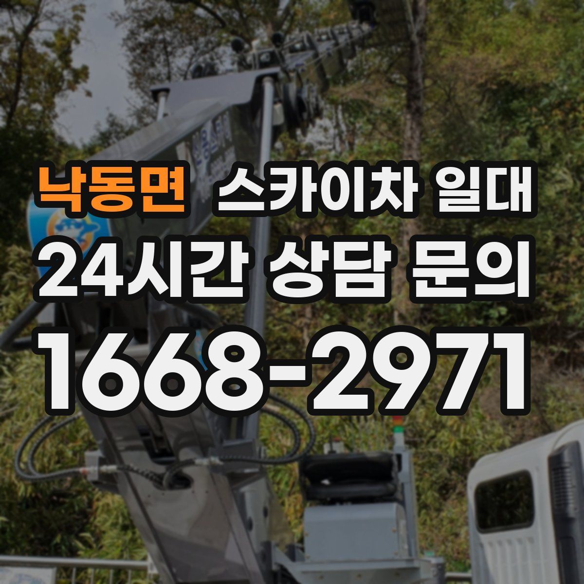 낙동면 스카이차 일대