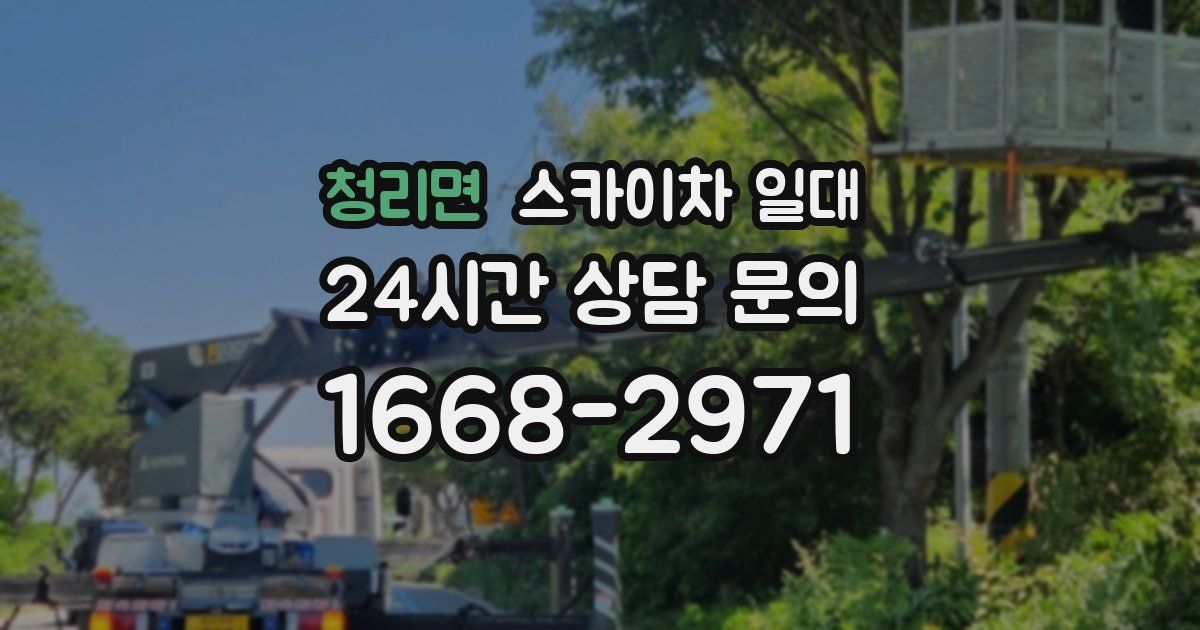 청리면 스카이차 일대