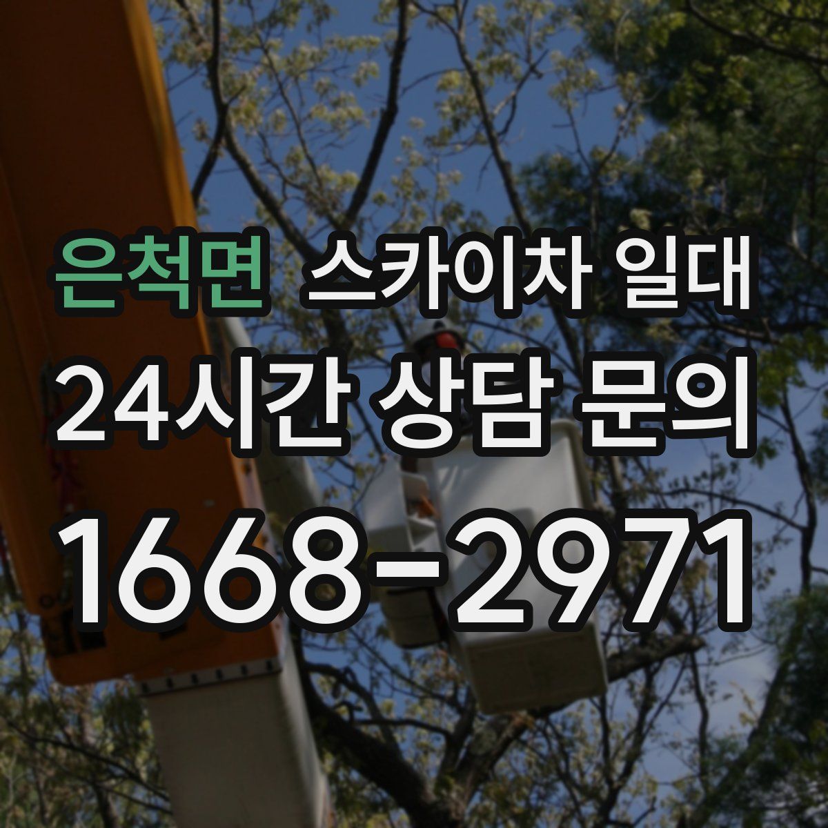 은척면 스카이차 일대