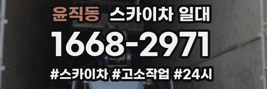 윤직동 스카이차 일대