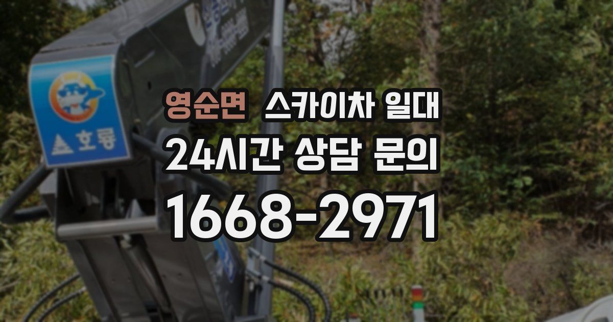 영순면 스카이차 일대