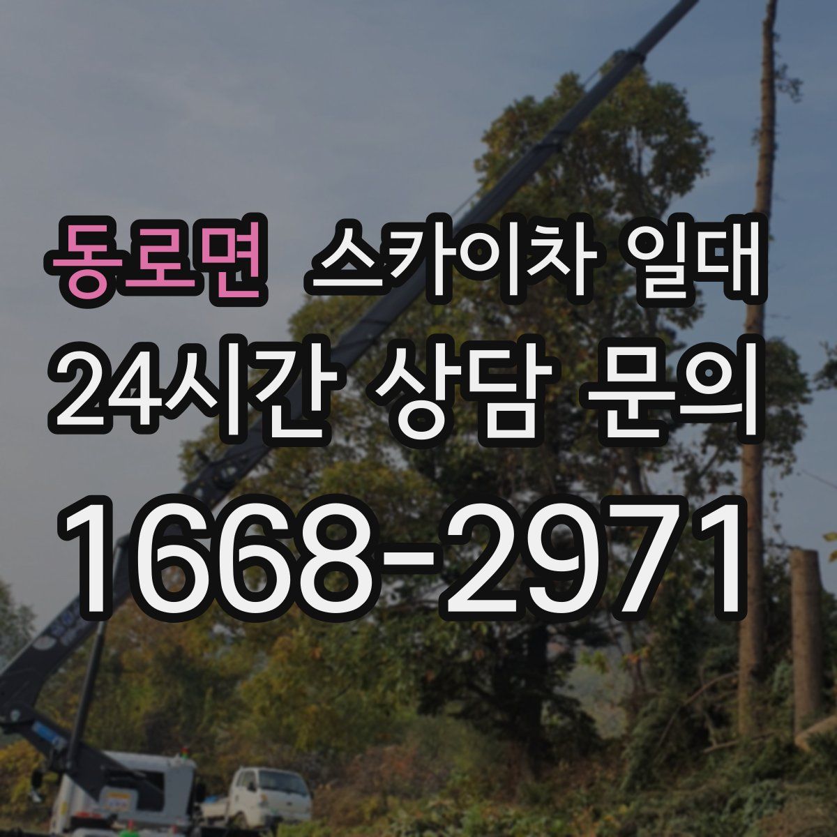 동로면 스카이차 일대
