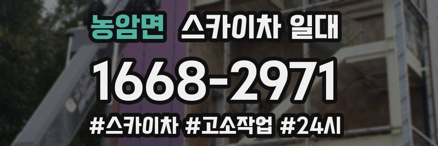농암면 스카이차 일대
