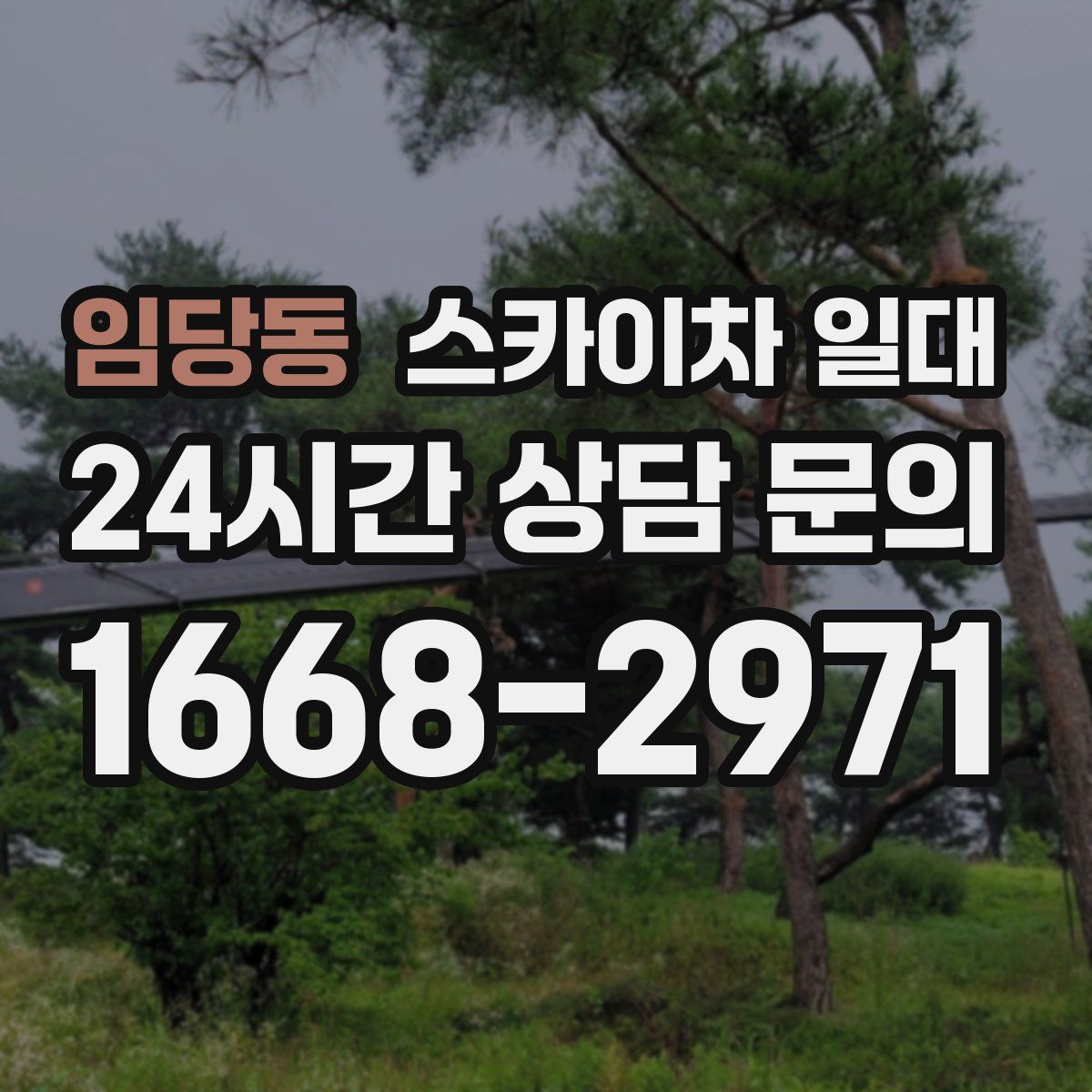 임당동 스카이차 일대
