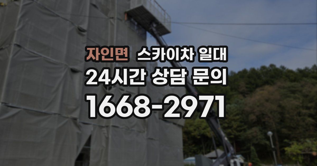 자인면 스카이차 일대