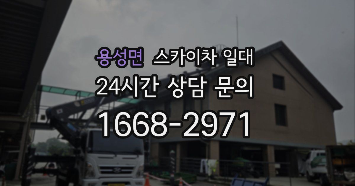 용성면 스카이차 일대