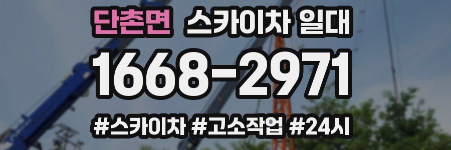 단촌면 스카이차 일대