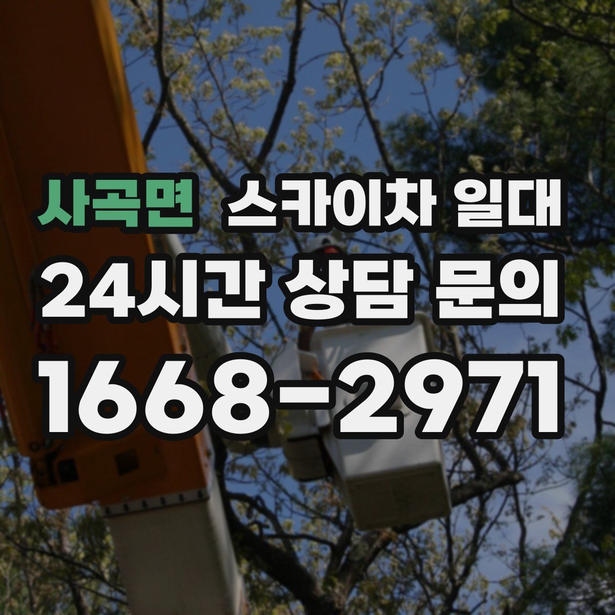 사곡면 스카이차 일대
