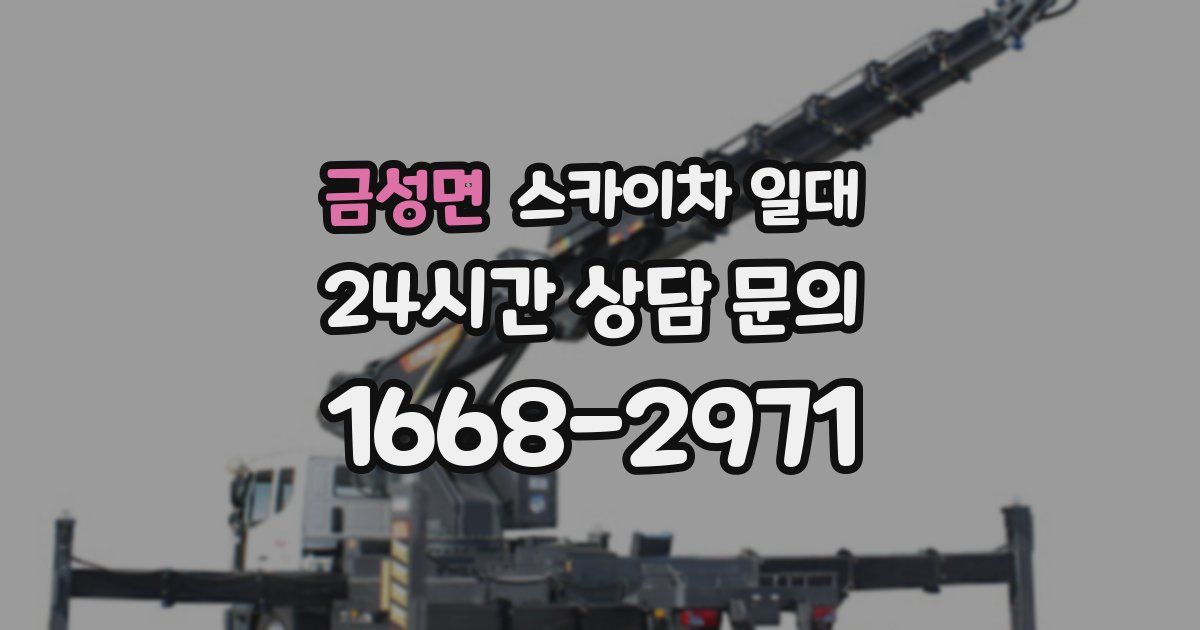 금성면 스카이차 일대