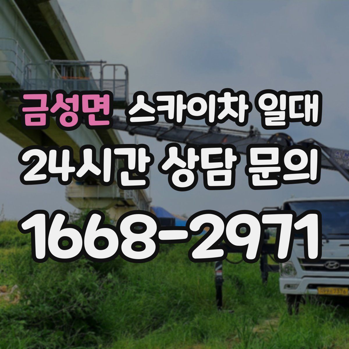 금성면 스카이차 일대