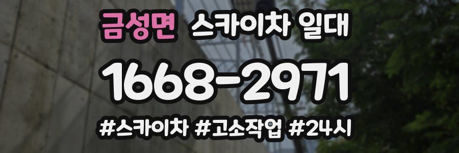 금성면 스카이차 일대