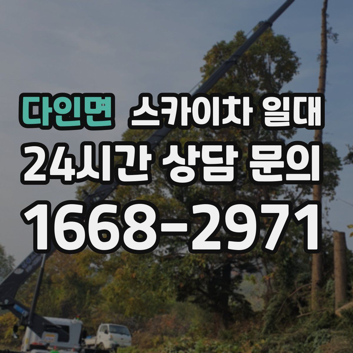 다인면 스카이차 일대